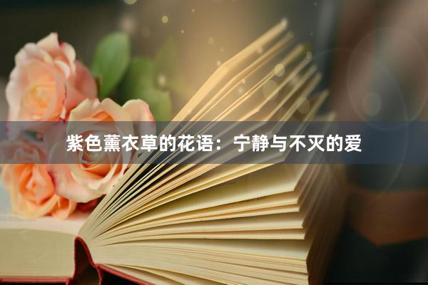 紫色薰衣草的花语：宁静与不灭的爱
