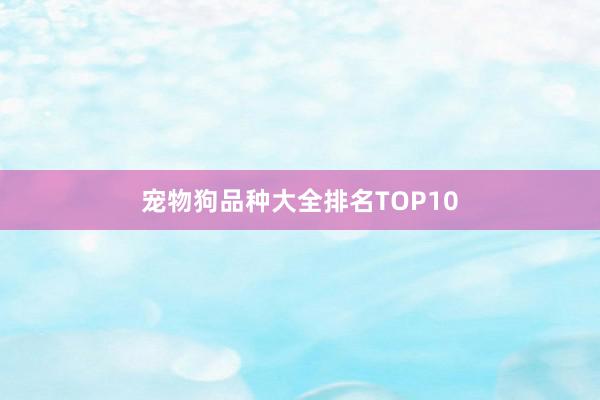 宠物狗品种大全排名TOP10